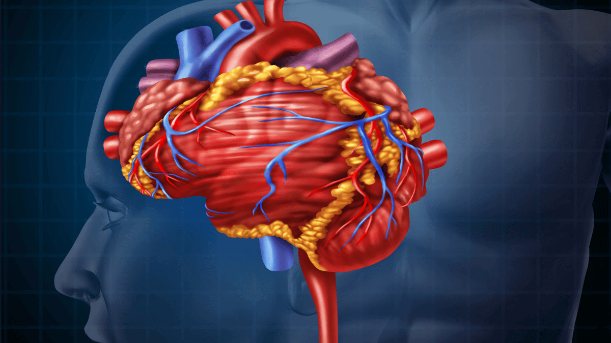 degraded vascular health would have increased risks for dementia