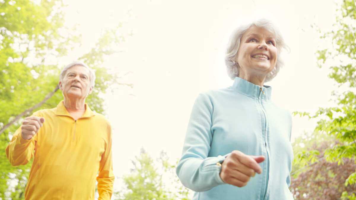 Maintain a well lit environment during the day