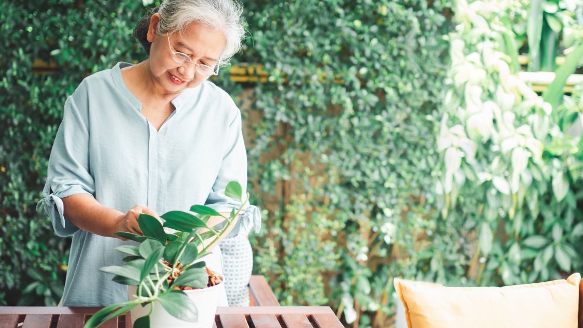 Enhance Cognitive Function