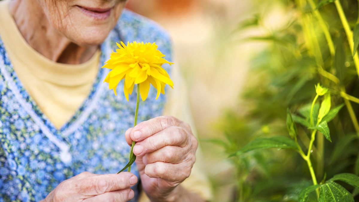 Trigger Memories and Positive Associations