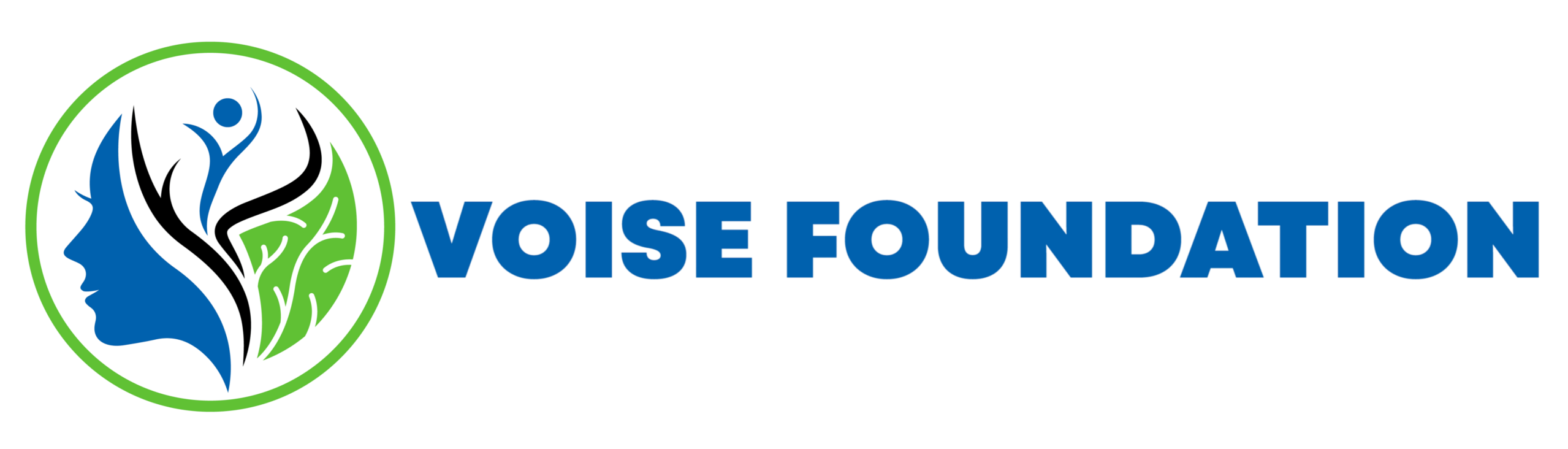 Voise Foundation logo featuring a blue silhouette of a face with abstract leaves and a person inside a green circle, next to the name in bold blue text.